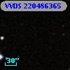 VVDS 220486365
