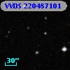 VVDS 220487101
