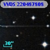 VVDS 220487808