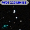 VVDS 220490431