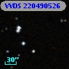 VVDS 220490526