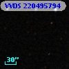 VVDS 220495794