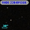 VVDS 220498318