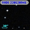 VVDS 220520941