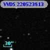 VVDS 220523813