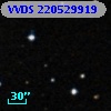 VVDS 220529919