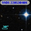 VVDS 220530408