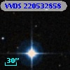 VVDS 220532858