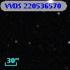 VVDS 220536570