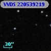 VVDS 220539219