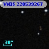 VVDS 220539267