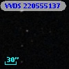 VVDS 220555137