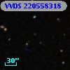 VVDS 220558318