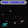 VVDS 220566288
