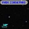 VVDS 220567803