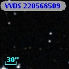 VVDS 220568509
