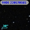 VVDS 220570565