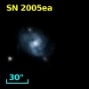 SN 2005ea