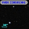 VVDS 220585301