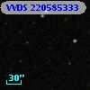 VVDS 220585333