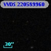 VVDS 220589960