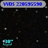 VVDS 220595590