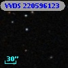 VVDS 220596123