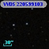 VVDS 220599103