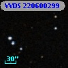 VVDS 220600299