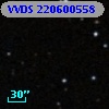 VVDS 220600558