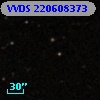 VVDS 220608373