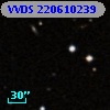 VVDS 220610239