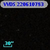 VVDS 220610783