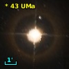 *  43 UMa