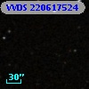 VVDS 220617524