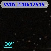 VVDS 220617818