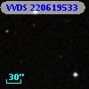 VVDS 220619533