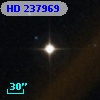 HD 237969