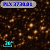 PLX 3730.01