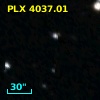 PLX 4037.01