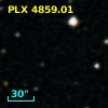 PLX 4859.01