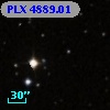 PLX 4889.01