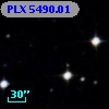 PLX 5490.01