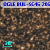 OGLE BUL-SC45 205356