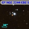 Cl* NGC 2244    CDZ      52
