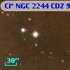 Cl* NGC 2244    CDZ      91