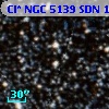Cl* NGC 5139    SDN 1002884