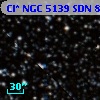 Cl* NGC 5139    SDN 8000116