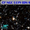 Cl* NGC 5139    SDN 8013120