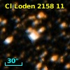 Cl Loden 2158    11